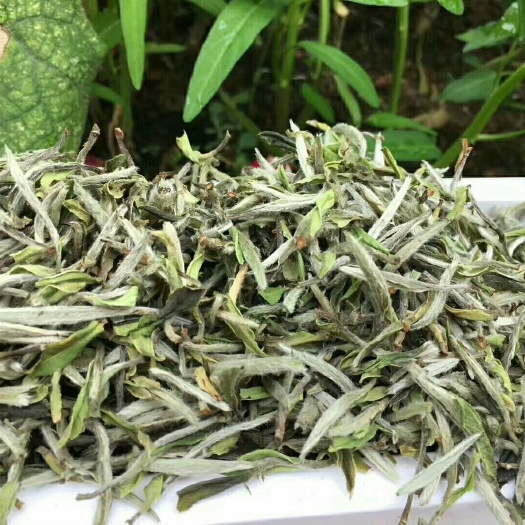 义乌市白牡丹茶 荒野牡丹王