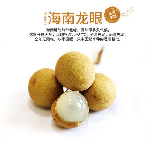 海南龙眼