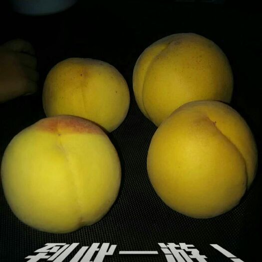 炎陵县 炎陵黄桃又称高山黄桃，它以香，脆，甜而出名