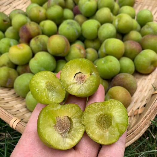 半边红李子 茵红李（半边红）脆，甜