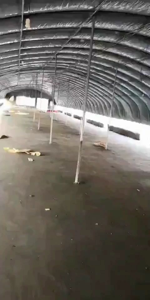 沭阳县包装设计 专业设计，上门安装，维修，厂家直销大棚，价格不高，赚点吃饭钱