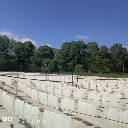 临洮县 纯手工土豆粉，宽，中，细粉均有。价格公道，纯土豆粉无添剂