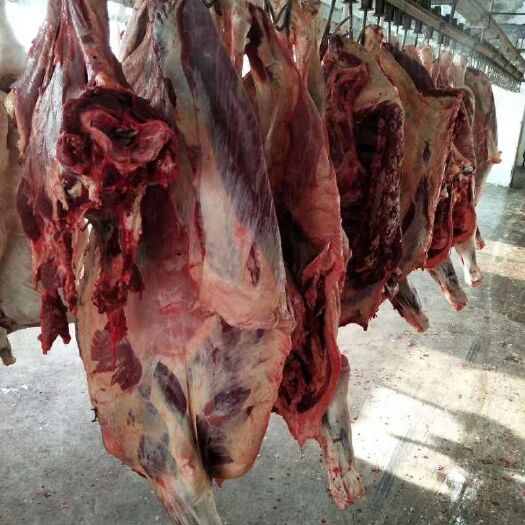 哈巴河县牛干巴 生肉