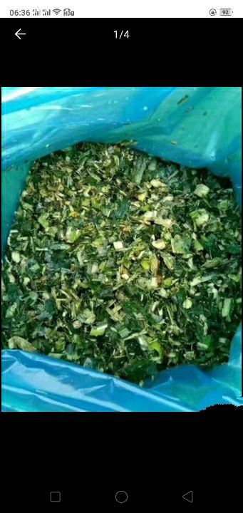 新蔡县青储草  本公司常年供应青储玉米，小麦秸秆，花生秧草粉有需要