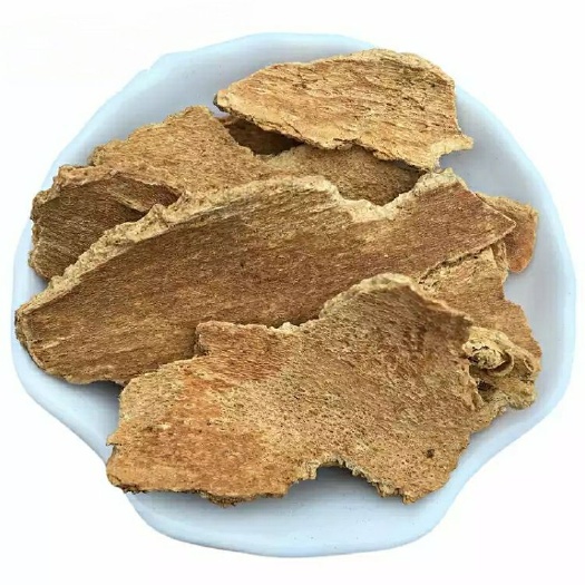 河北省保定市安国市椿皮 即椿根皮 冷背品种 产