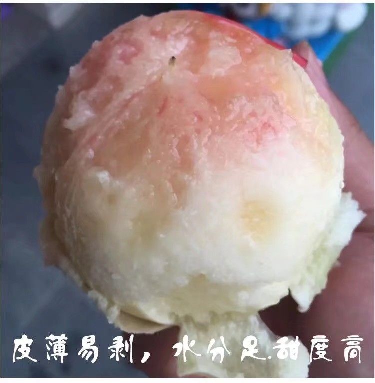  正宗奉化水蜜桃琼浆玉露