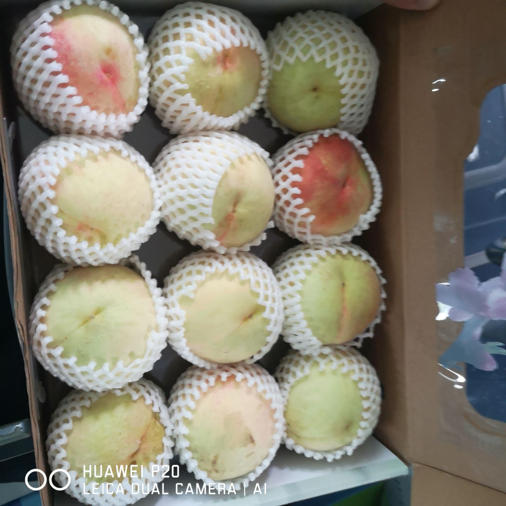  正宗奉化水蜜桃琼浆玉露