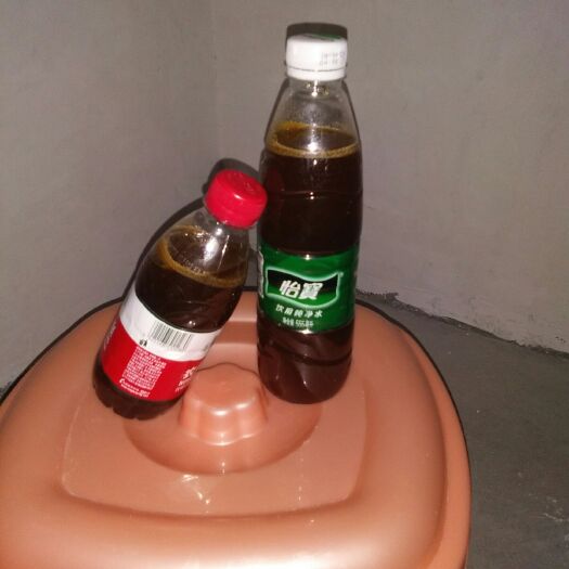 邵阳县土蜂蜜 土蜜蜂