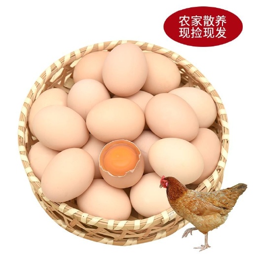 广宗县土鸡蛋 食用 礼盒装