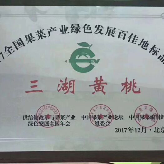江陵县 正宗锦绣黄桃，自家果园