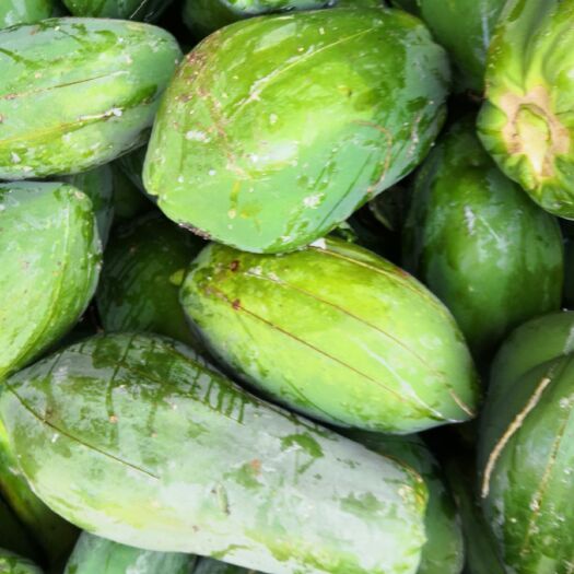 徐闻县 进工厂木瓜