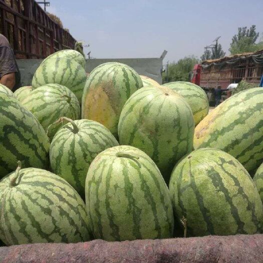 夏邑县冠龙西瓜 7斤打底 8成熟 1茬 无籽