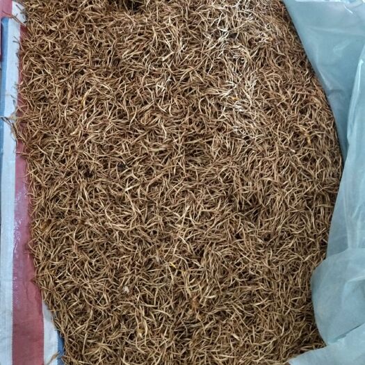 西安黄花菜干 24个月以上