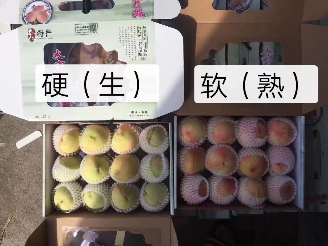  正宗奉化水蜜桃琼浆玉露