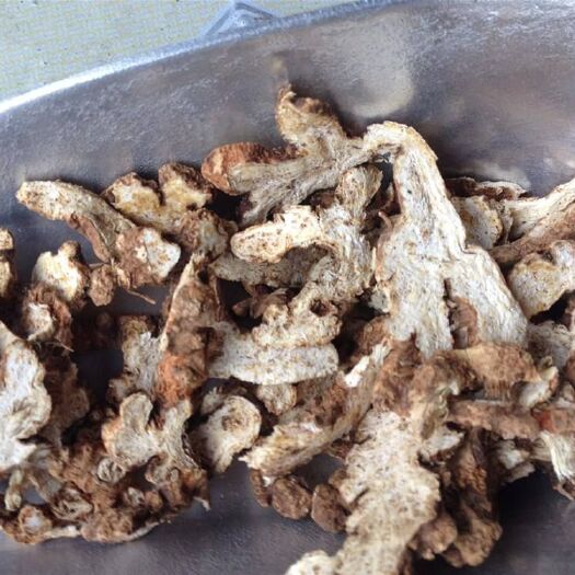 商城县 正宗天然苍术中药材