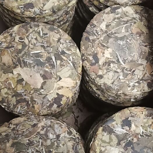 云县 白茶