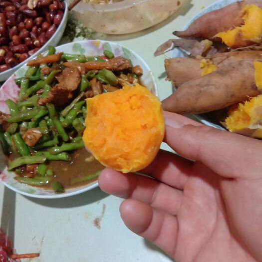 开封 开封沙土地红薯，欢迎全国客商前来采购。