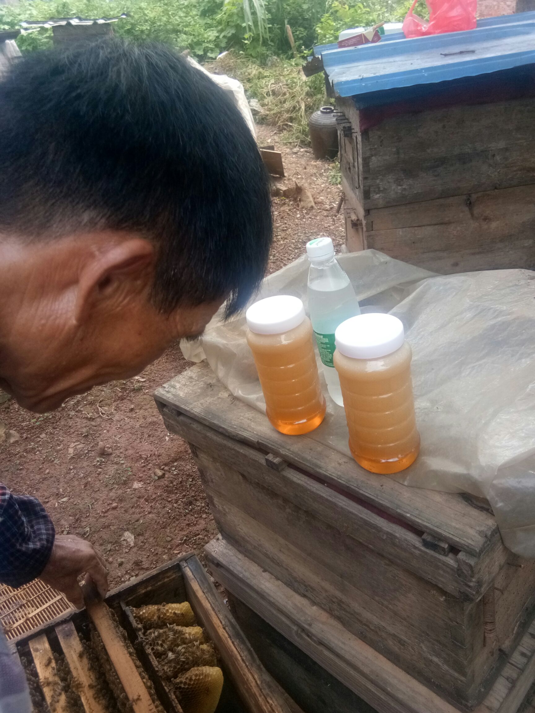  农家荔枝蜜，龙眼蜜