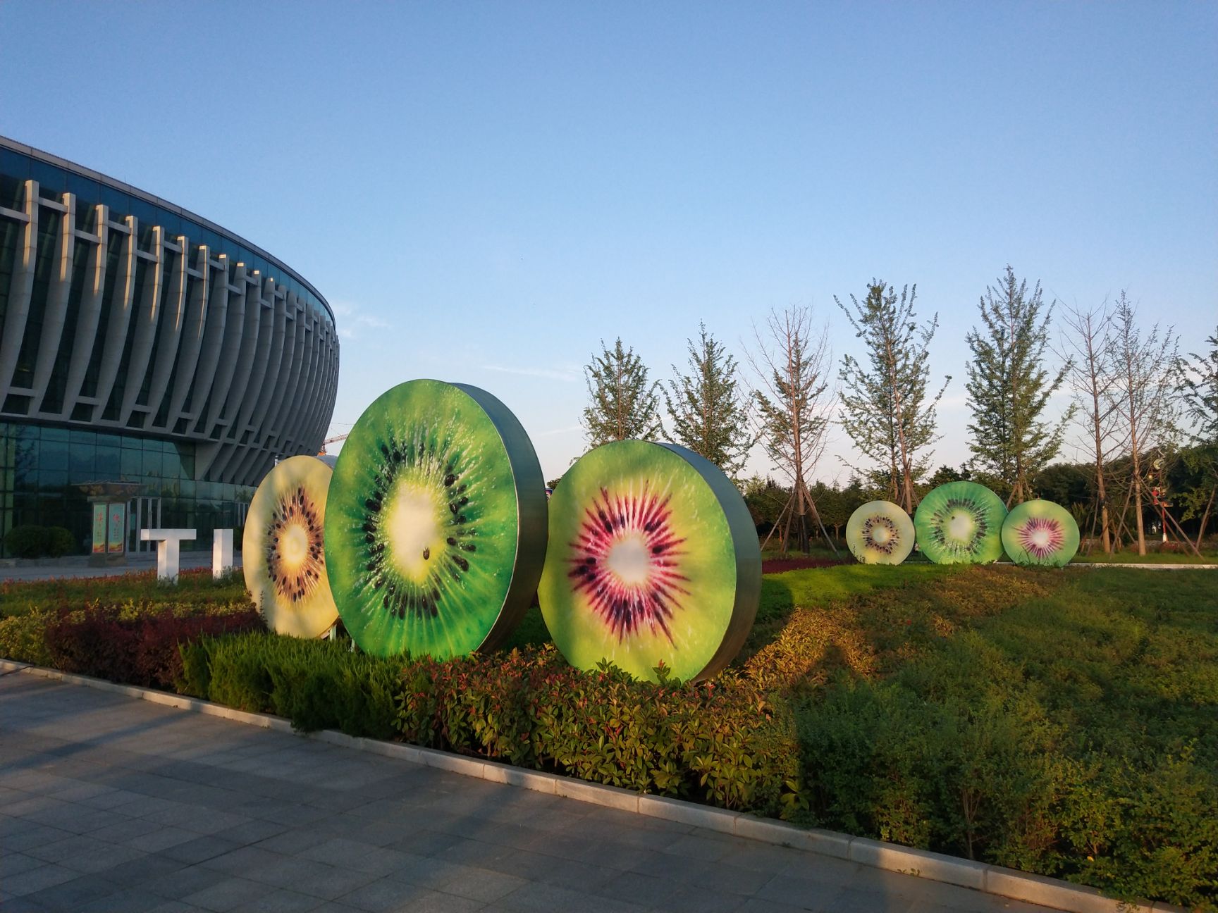  陕西绿心徐香猕猴桃5斤（80-120g）新鲜水果非红黄心智