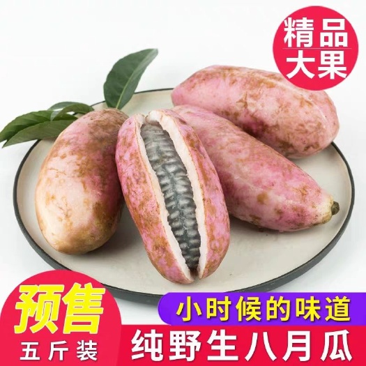 北川县 2019新鲜八月瓜牛卵坨八月炸供应，支持一件代发