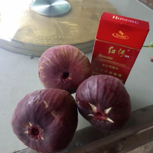 巍山县波姬红无花果 大品种波姬红~皮薄馅大~味道软糯香甜~