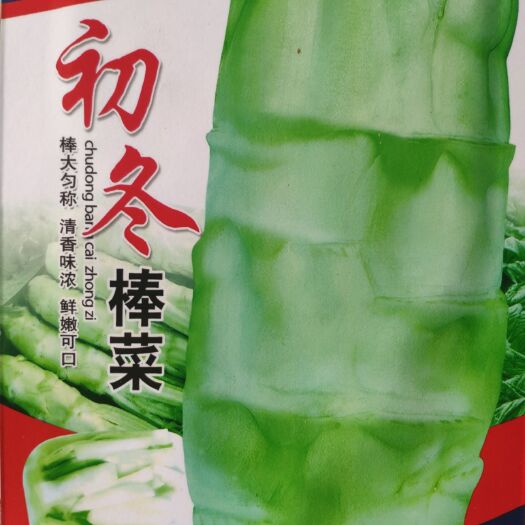 余干县芥菜种子  初冬棒菜种子 棒大匀称清香味浓鲜嫩可口单株120