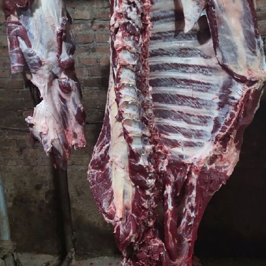 阳信县 纯干鲜牛肉