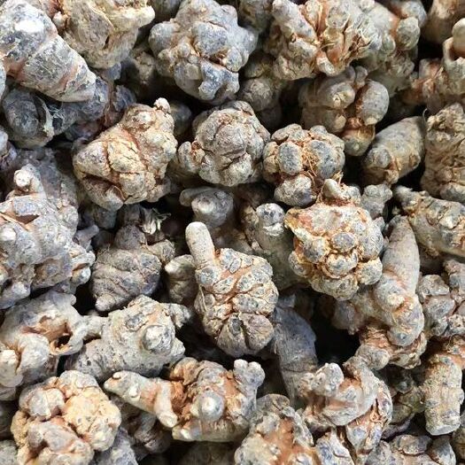 文山市 云南文山三七精选20头500g   218元