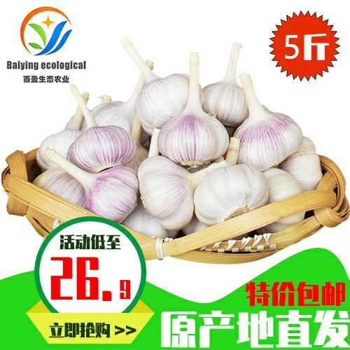 商河县 山东大蒜商河吴童白桥大蒜红蒜5斤一件包邮产地直供批发