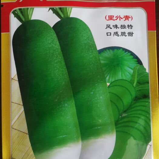 品質型水果蘿卜種子 里外青蘿卜種子