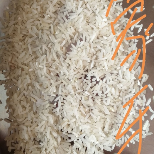 博罗县象牙香米 农家米，米糠批发