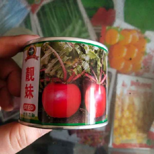 农安县 红皮萝卜种子