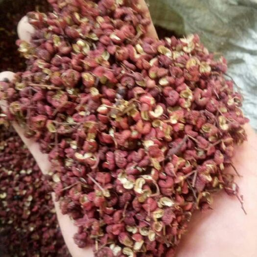 芮城县 干红花椒，青麻花椒颗粒状