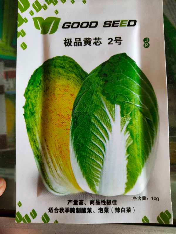 黄心白菜种子 黄心菜种子