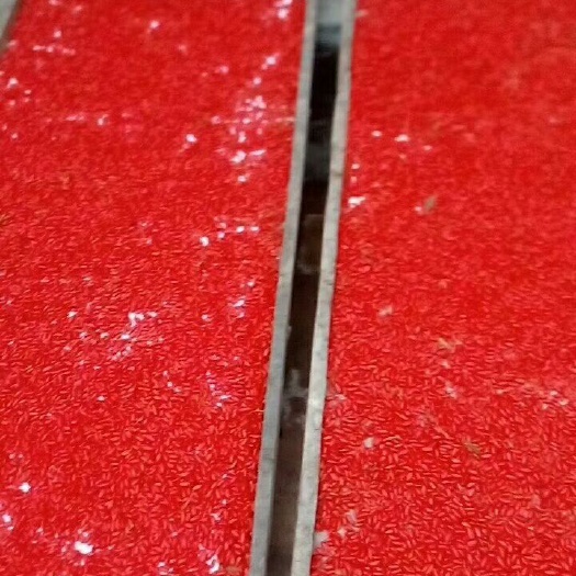 中宁县红枸杞 特优级