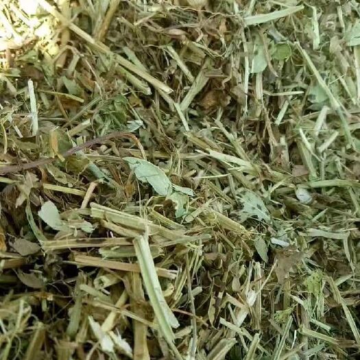 宁陵县羊草 2019花生秧
