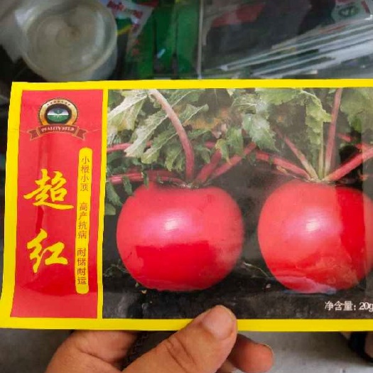 农安县 红皮萝卜种子