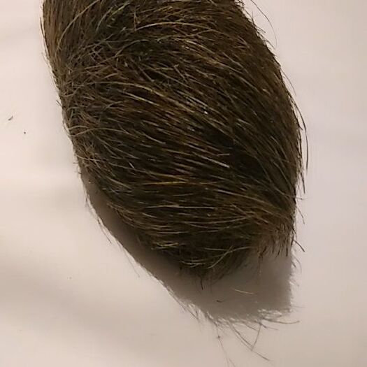 沭阳县 （猪宝）几十年难求明贵药材需要者请联系，价格面议。