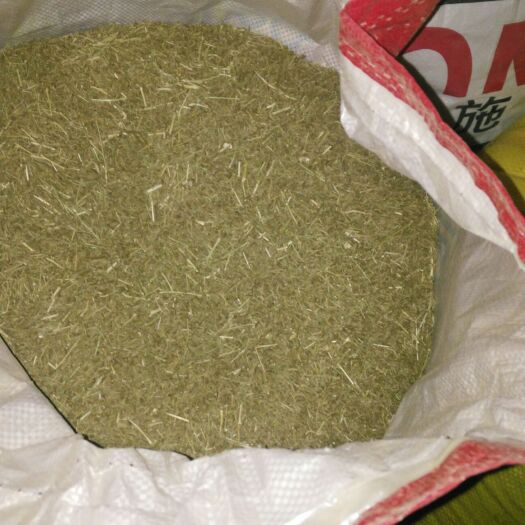 景泰县孜然 天然自家种植的无污染无公害中药材