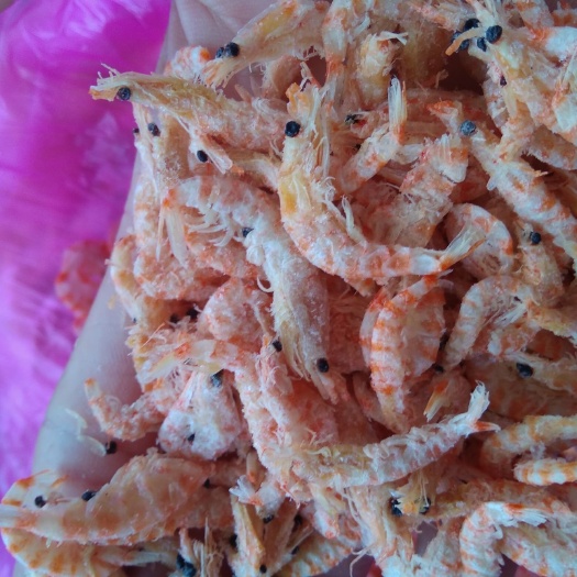 磷虾