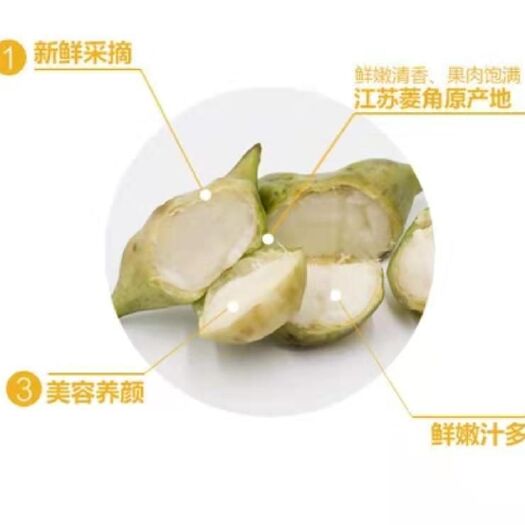 泰州 溱湖菱角  全国批发