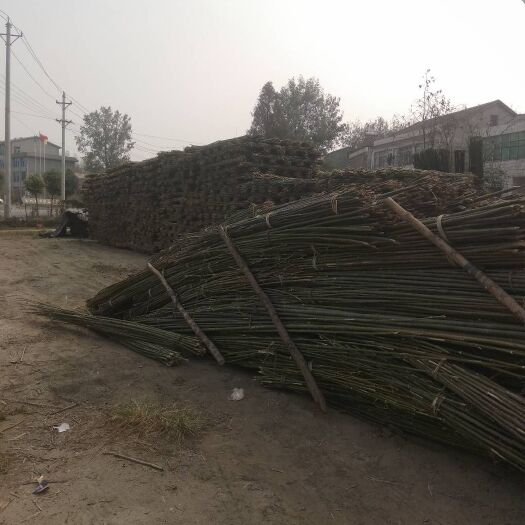 毛竹 批发销售1-3米菜架竹竿，1-5米竹片，4-9米大棚竹竿