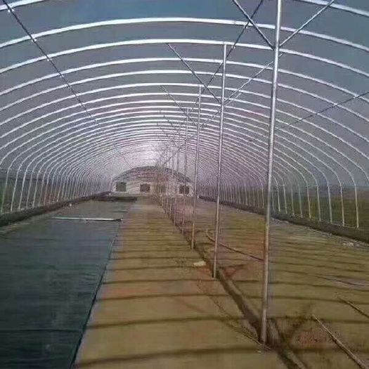 沭阳县 出售猪牛羊鸡的养殖大棚，包工包料，包20年不生锈