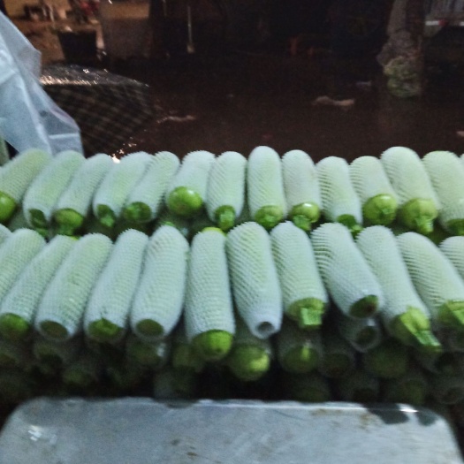 昆明 西葫芦，常年供货，量大优先