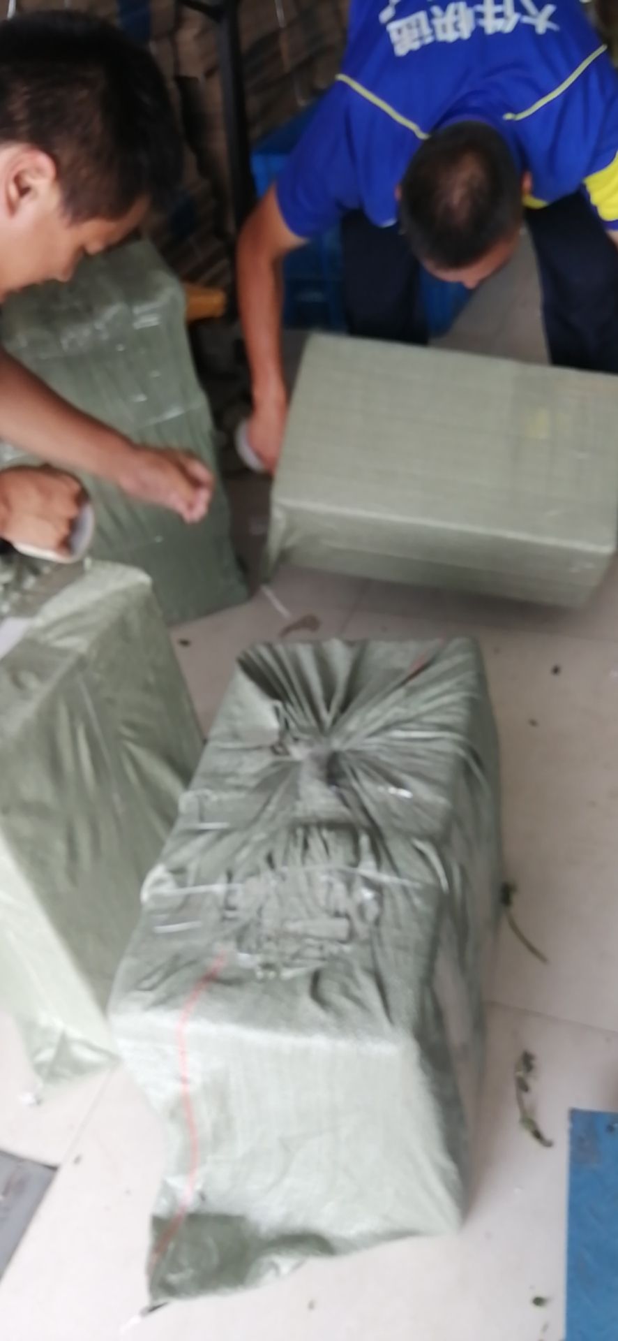马齿苋干 精选新鲜野生马齿苋，现场加工，无杂质品质上成。适合餐饮药店等
