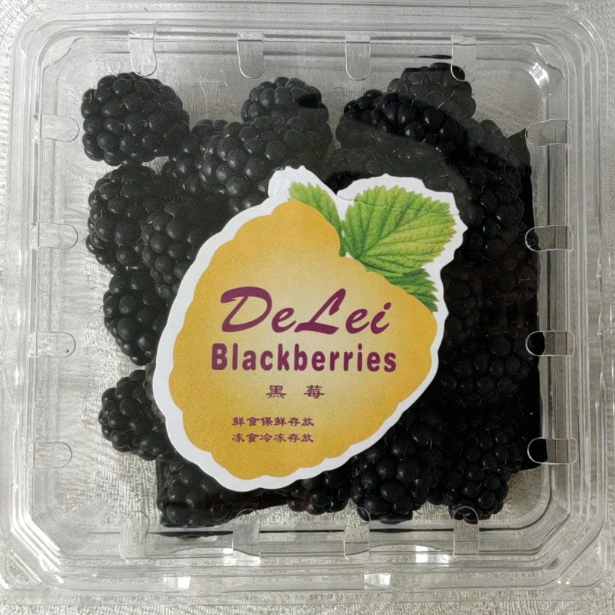 伊川县 批发零售有机种植黑树莓现摘现发新鲜无污染