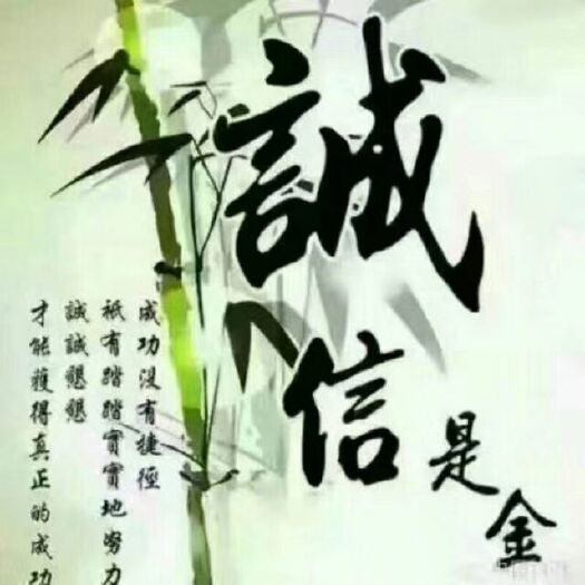 围场县冀张薯12 诚信合作