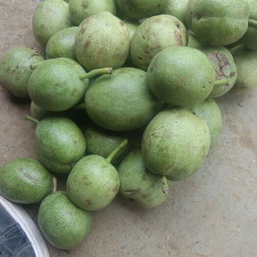 洛南县青皮核桃