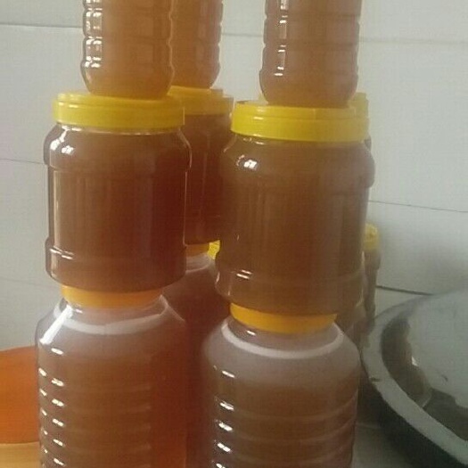 汪清县 刚养的蜜蜂，渠道少，上这来卖卖，纯封盖椴树蜜假一赔百