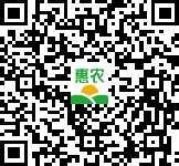 白皮松适应于沙漠治理的好树苗，每年冬季和春季适合出苗圃。